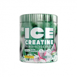 FA - ICE CREATINE 300g